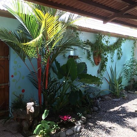 Sueno Grande B&B Puerto Viejo de Talamanca Exterior photo
